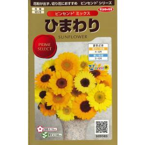種子 ひまわり ビンセント ミックス サカタのタネ Hanatane 0723 Gardener S Shop Ivy 通販 Yahoo ショッピング