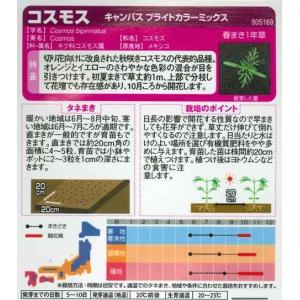 【コスモスの種】キャンパスブライトカラーミック...の詳細画像1
