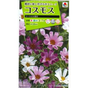 【コスモスの種】シーシェル混合(1.7ml)【タキイ種苗】