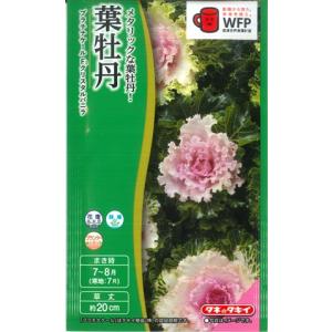 枝豆 丹波黒大粒大豆 1dl(約65粒) タキイ種苗（株） : グリーンロフト