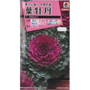 葉牡丹 種の商品一覧 通販 Yahoo ショッピング