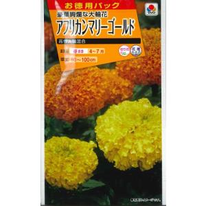 【アフリカンマリーゴールド】高性大輪混合【タキイ...の商品画像