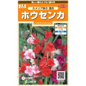 カメリア咲き混合907590