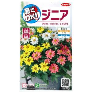 サカタのタネ（サカタノタネ） 【花絵の具】ミックスフラワーガーデン