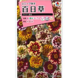 花種子 百日草（ジニア） カクタス咲混合 タキイ種苗のタネ : Gardener
