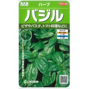 【ハーブの種】バジル【サカタのタネ】（4.5ml）【春まき一年草】928080｜Hana Uta 米沢園芸 Yahoo!店