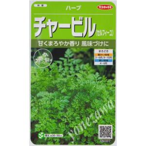 【ハーブの種】チャービル（セルフィーユ）【サカタのタネ】5.9ml【耐寒性一〜ニ年草】[春まき][秋まき]928077｜Hana Uta 米沢園芸 Yahoo!店