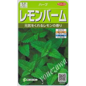 【ハーブの種】レモンバーム【サカタのタネ】（0.9ml）【多年草】[春まき][秋まき]928087