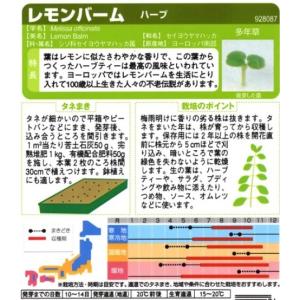 【ハーブの種】レモンバーム【サカタのタネ】(0...の詳細画像1
