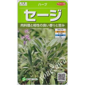セージの種【サカタのタネ】
