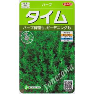 【ハーブの種】タイム【サカタのタネ】（0.9ml）【多年草】[春まき][秋まき]928076｜Hana Uta 米沢園芸 Yahoo!店