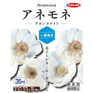 【秋植え球根】（アネモネ一重咲き）デカン　ホワイト（30ml詰）【サカタのタネ】