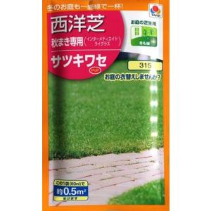 秋まき専用 サツキワセ（60ml）（インターメディエイトライグラス）