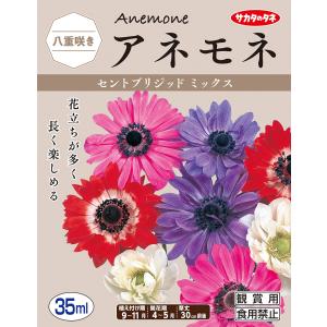 【秋植え球根】（アネモネ菊咲き）セントブリジッド　ミックス（30ml詰）【サカタのタネ】