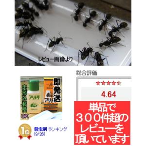 アリメツ【殺虫剤】55g×2個セット【メール便...の詳細画像2
