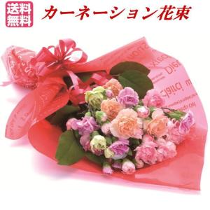 母の日 ギフト カーネーション花束　ネット限定｜Hana Uta 米沢園芸 Yahoo!店