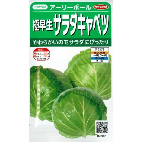 【極早生サラダキャベツ】アーリーボール【サカタ交配】（1ml）[春まき][秋まき]野菜種/サカタのタ...