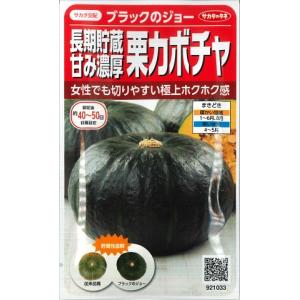 ブラックのジョー 野菜種/サカタのタネ