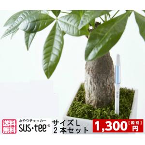 ★2本セット★【メール便で送料無料】水分計サスティー（Lサイズ）【6から12号鉢用】水やり,観葉植物,洋蘭,多肉植物