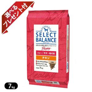 セレクトバランス パピー チキン 小粒 子犬・母犬用 7kg ドッグフード 選べるプレゼント付き ポイント利用