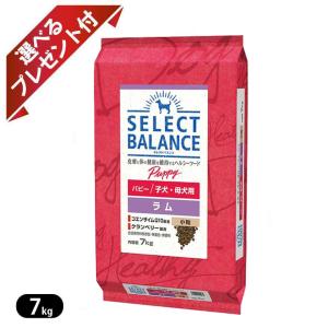 SELECT BALANCE セレクトバランス パピー チキン 小粒 子犬・母犬用