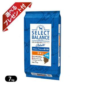 セレクトバランス　15kg yuzu.sena.0601 セレクトバランス 15kg yuzu.sena.0601 SELECT BALANCE セレクト