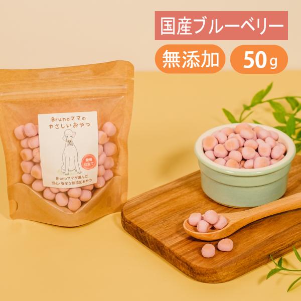 Brunoママのやさしいおやつ 国産 ブルーベリー ボーロ 50g 無添加 犬 おやつ ご褒美 砂糖...