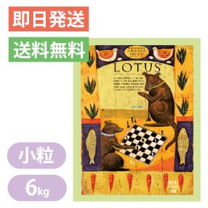 ロータス シニア チキンレシピ 小粒 6kg LOTUS ドッグフード ポイント利用