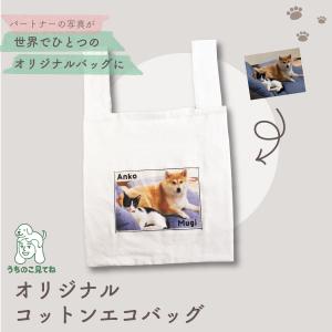 《うちのこのお写真で作れる》うちのこ見てね オリ...の商品画像