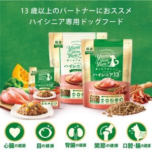 ヤムヤムヤム ドックフード ハイシニア 13+...の詳細画像1