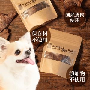 ギフトナー 国産 馬肉 ジャーキー 15g 犬...の詳細画像2