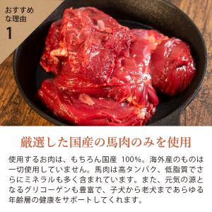 ギフトナー 国産 馬肉 ジャーキー 15g 犬...の詳細画像5