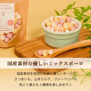 Brunoママのやさしいおやつ 国産 ミックス...の詳細画像1