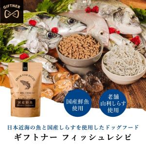 ギフトナー ローテーション 3種セット 馬肉 ...の詳細画像3