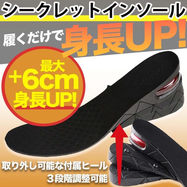 シークレットインソール インソール 身長アップ 最大６cmアップ メンズ レディース  衝撃吸収 エ...