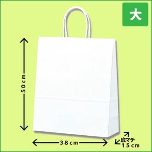 【当ショップで商品購入者限定販売】 白無地紙袋(...の商品画像
