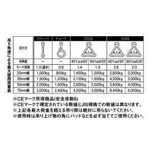 スリングベルト 25mm 5m 1本 両アイ形...の詳細画像5
