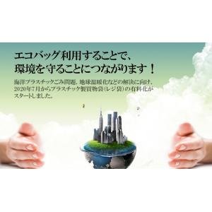 エコバッグ 折りたたみ コンパクト レジ袋 シ...の詳細画像2