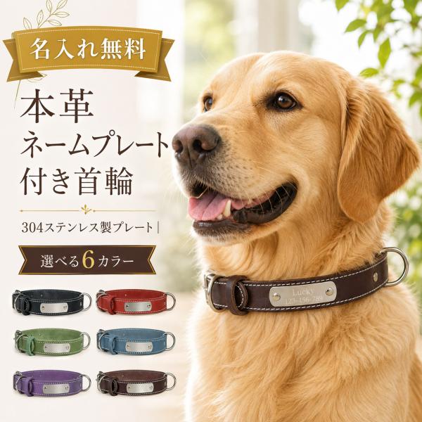名入れ無料【受注生産品（12営業日以内発送予定）】犬 首輪 本革 ネームプレー 名前入り 犬用 レザ...
