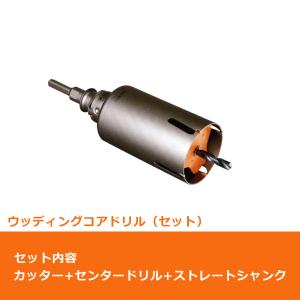 ミヤナガ（MIYANAGA） PCSW155 コアドリル セット 振動用 ストレート
