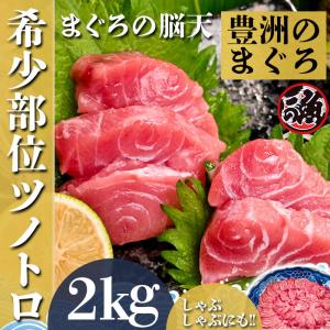 脳天 2kg  ツノトロ 脳天 ノーテン ズニク ハチノミ 鮪版 シャトーブリアン 大 〜 特大   ミナミ マグロ まぐろ 天然 国産｜yorozu-hnp