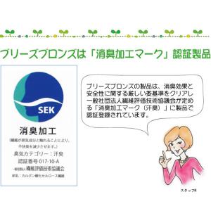 ブリーズブロンズ 消臭 スーパーミニタオル 1...の詳細画像4