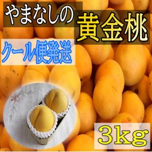 【ご予約受付中】安心のクール便でお届け　家庭用　山梨県産　黄金桃　3ｋｇ　9〜11個入　はねだし　B級品