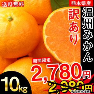 熊本県産 訳ありみかん 10kg 【※先行予約12月上旬より順次発送】熊本 果物 フルーツ 蜜柑 ミカン  産地直送 送料無料　みかん　徳用