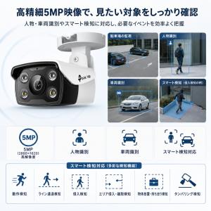 TP-Link VIGI C350(4mm) ...の詳細画像1