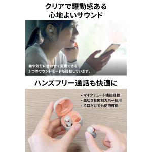 期間限定価格! ビクター ワイヤレスイヤホン ...の詳細画像4