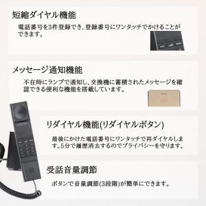 HT20-3B Telephone JACOB...の詳細画像2