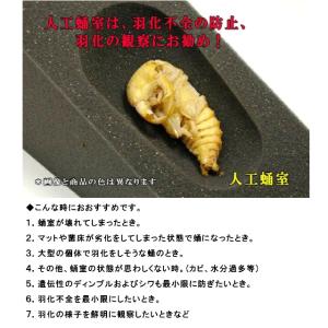 ミタニ メガエッグ メガエッグM MT-07人...の詳細画像1