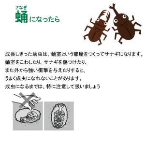 ミタニ メガエッグ メガエッグM MT-07人...の詳細画像3