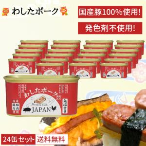富永貿易 アウトレット 無塩せき ポークランチョンミート 缶詰 12缶